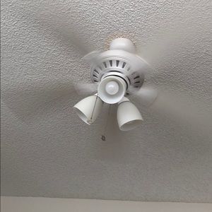 Meet your Posher, Ralph